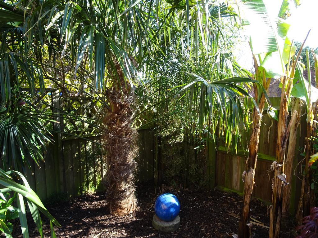 אקסטר Gras Lawn B&B מראה חיצוני תמונה